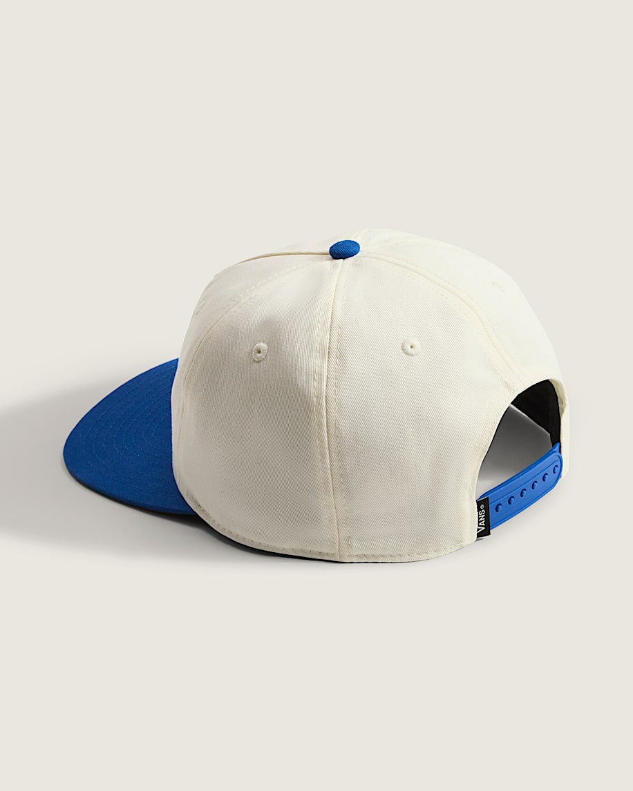 vans design co. low hat