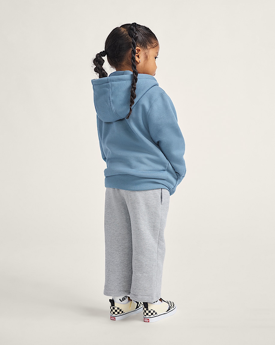 vans sk8 pullover-hoodie für kleine kinder